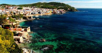 view of buildings at shore during daytime